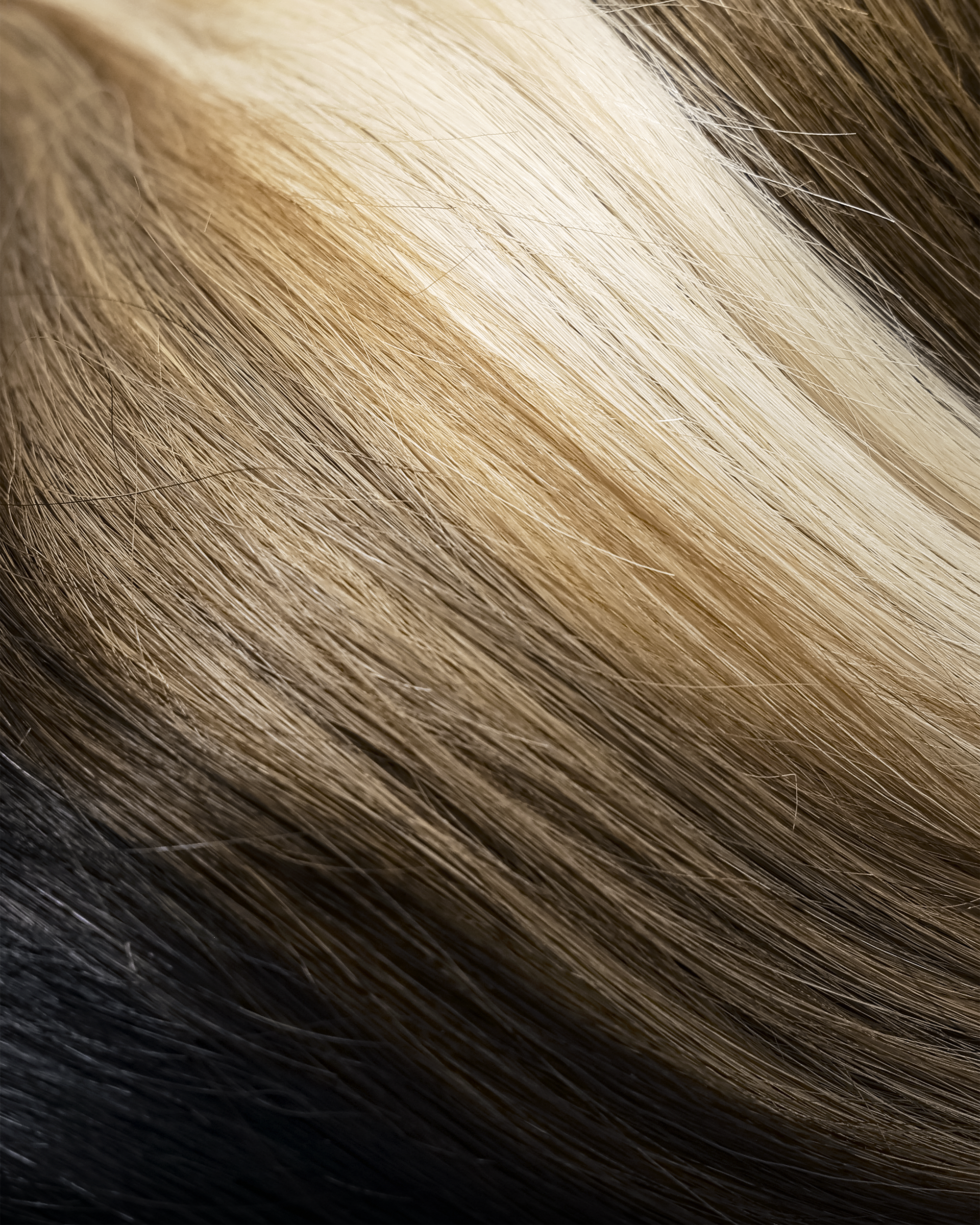 Mourning Hair Color Ring